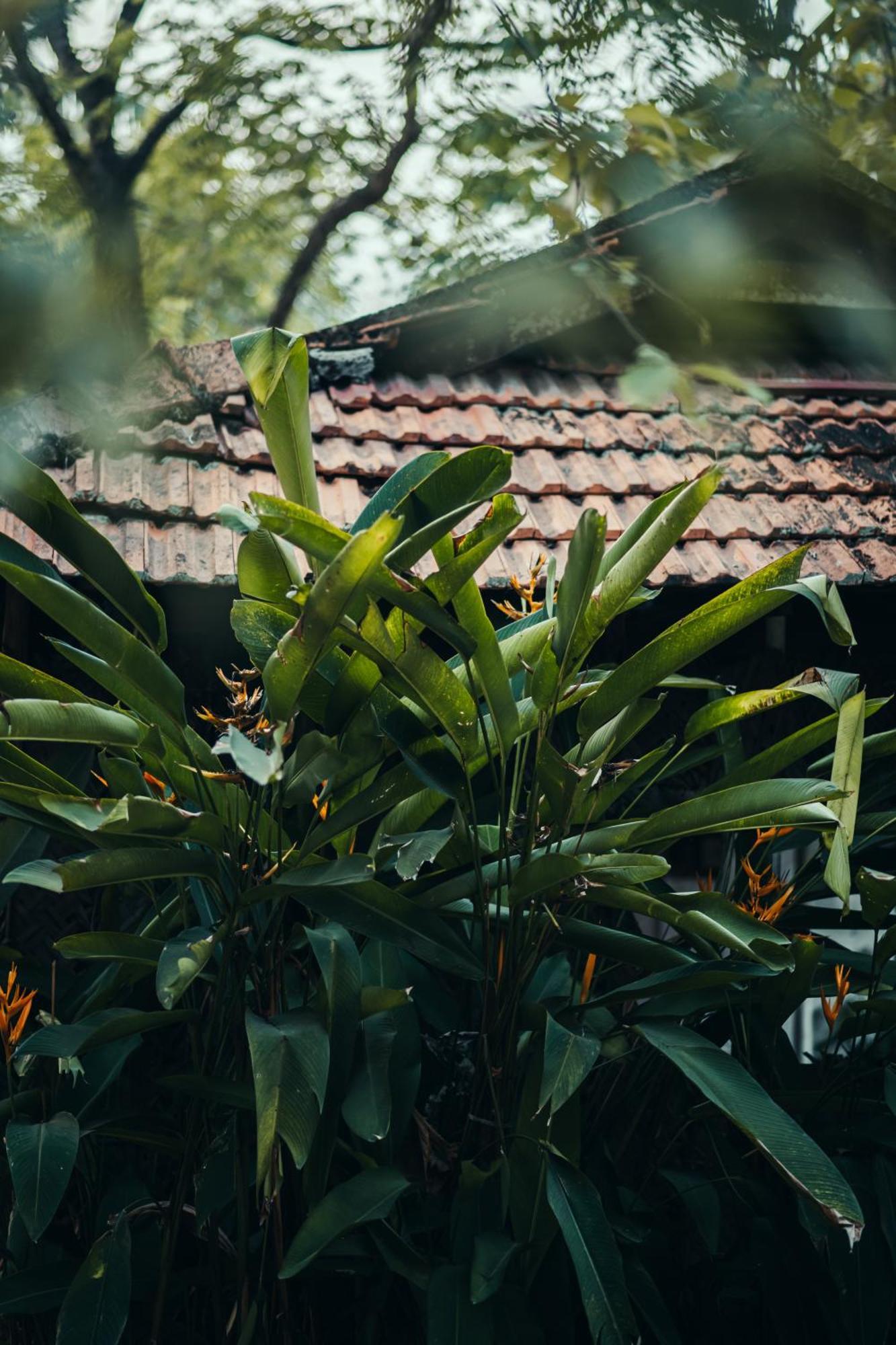 Paddlecult Surf Retreat Varkala Exterior foto