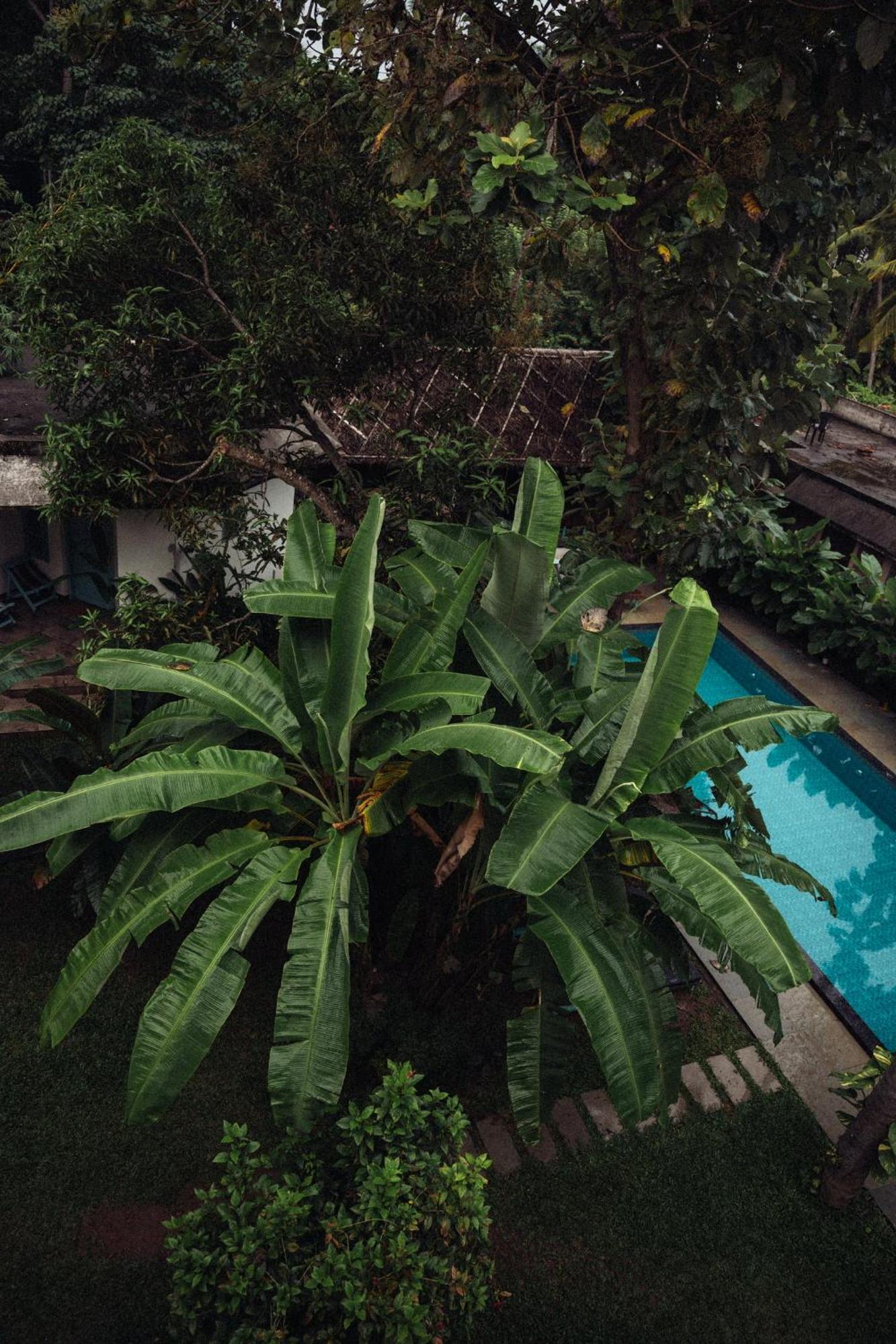 Paddlecult Surf Retreat Varkala Exterior foto
